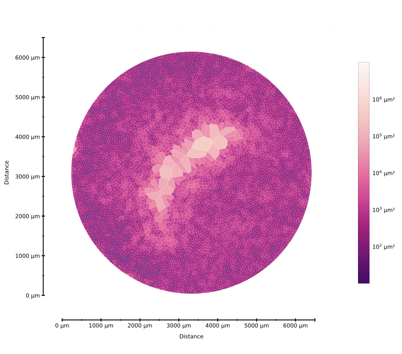 Cell Patterning